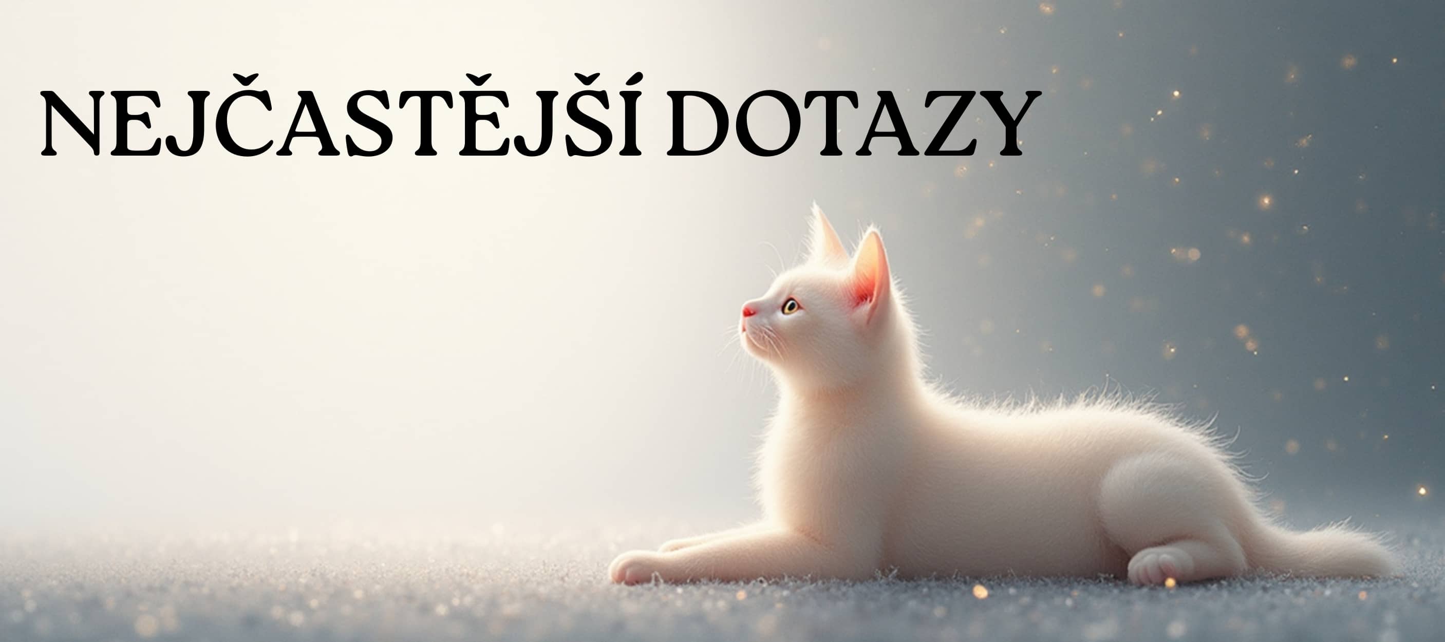 -NEJČASTĚJŠÍ DOTAZY